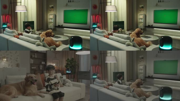 4k实拍男孩和宠物狗狗客厅一起看电视