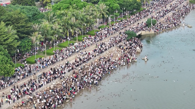 深圳湾公园观鸟人群深圳湾候鸟