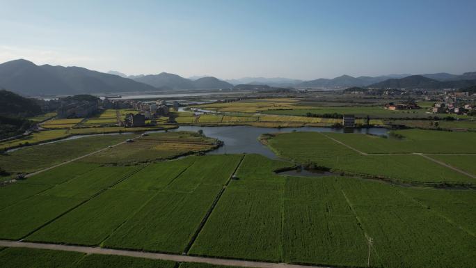 稻田航拍田野乡村