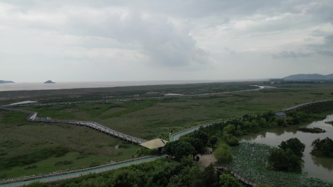 闽江河口湿地公园
