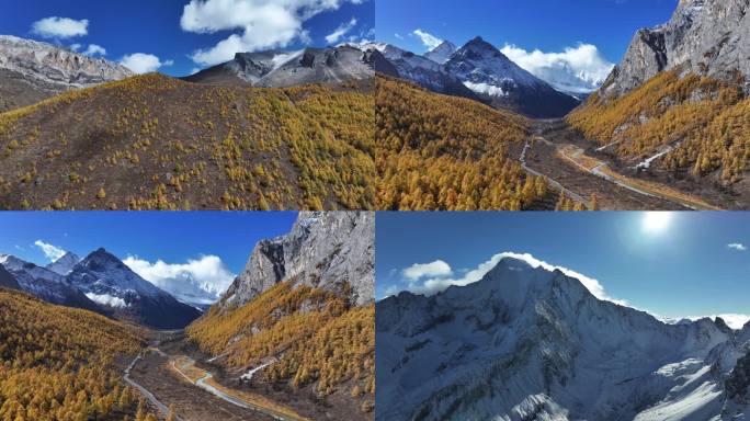 稻城亚丁雪山秋景合集