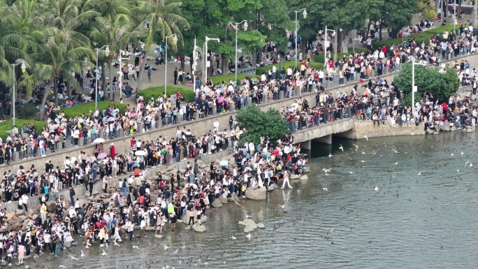 深圳湾公园观鸟人群深圳湾候鸟