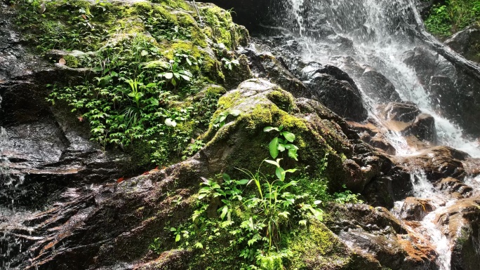 森林山涧小溪瀑布河流绿色苔藓