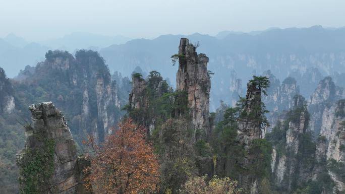 航拍湖南张家界岩石地貌山峰松树岩松实拍