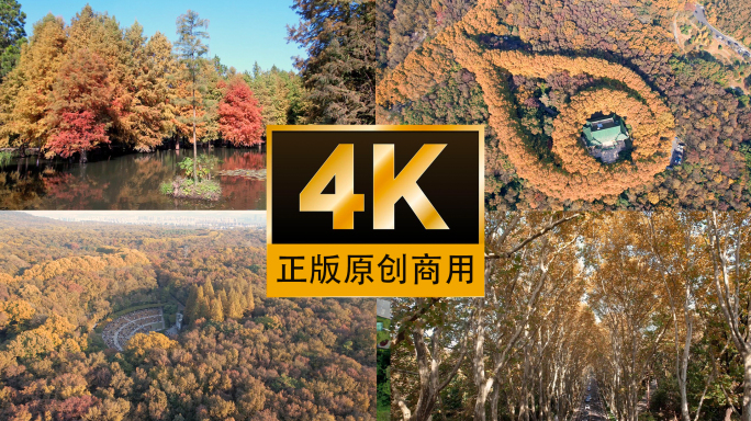 南京秋景4K航拍合集