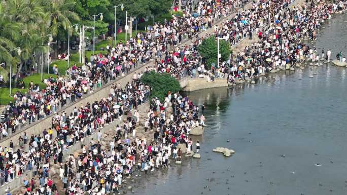 深圳湾公园观鸟人群深圳湾候鸟