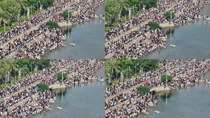 深圳湾公园观鸟人群深圳湾候鸟