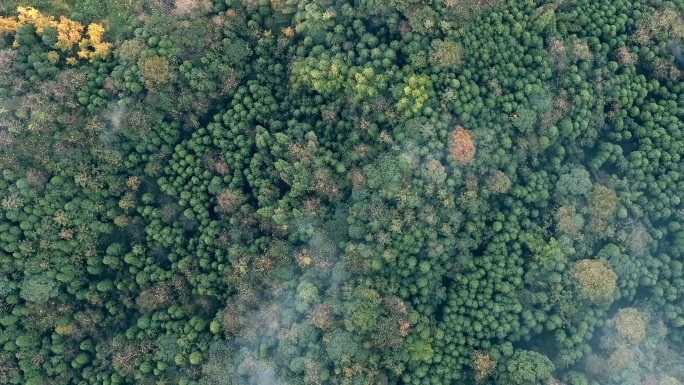 航拍青山绿水视频素材