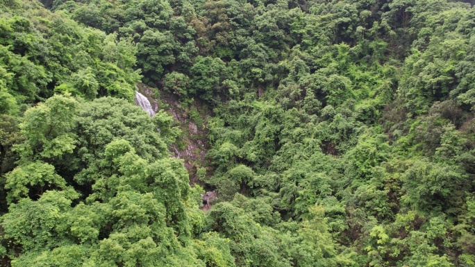 瀑布山里