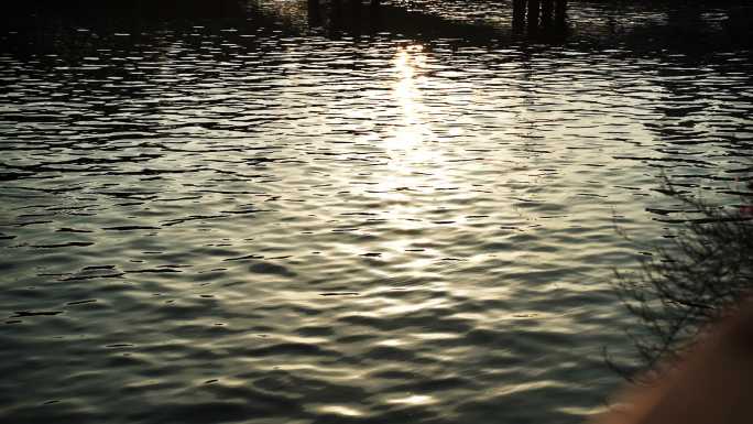 水面湖光金色水面波光粼粼河流黄昏波光