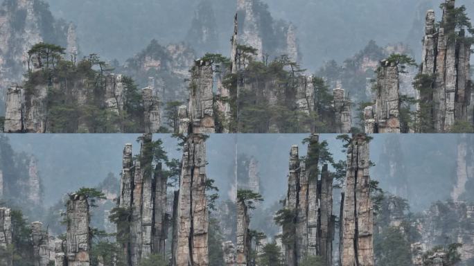 湖南张家界国家森林公园岩石山峰水墨国画