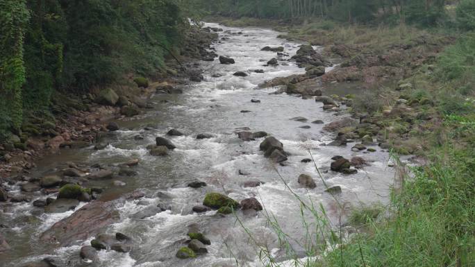 小溪流水