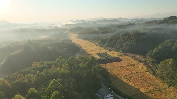 黄山徽州古村落秋色田园山村意境烟雾缭绕