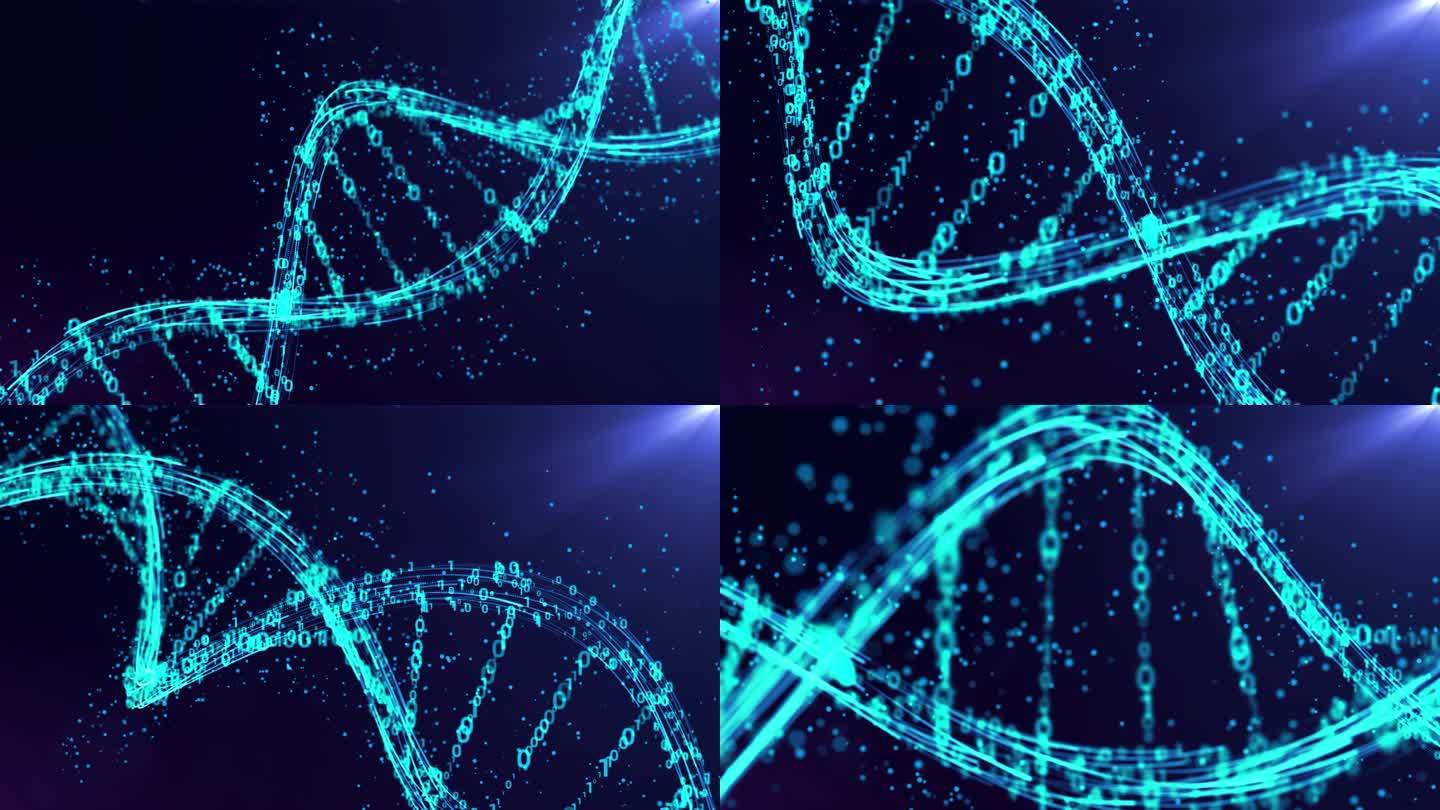 数字DNA科技数字01