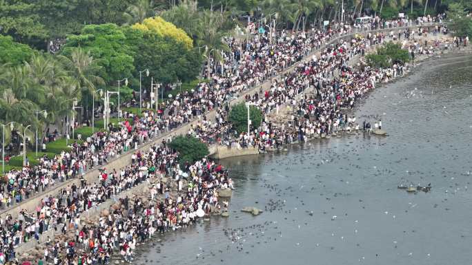 深圳湾公园观鸟人群深圳湾候鸟