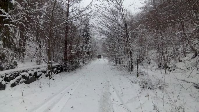 越野车在冬季的山林中行驶