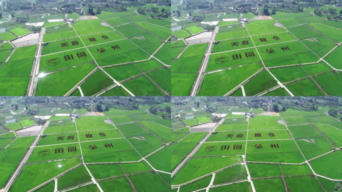 荣县赖河坝2023年天府粮仓航拍