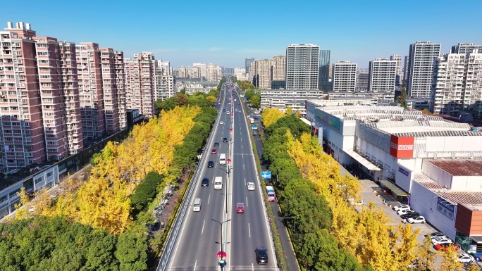 航拍杭州上塘高架银杏秋色与城市建筑风景