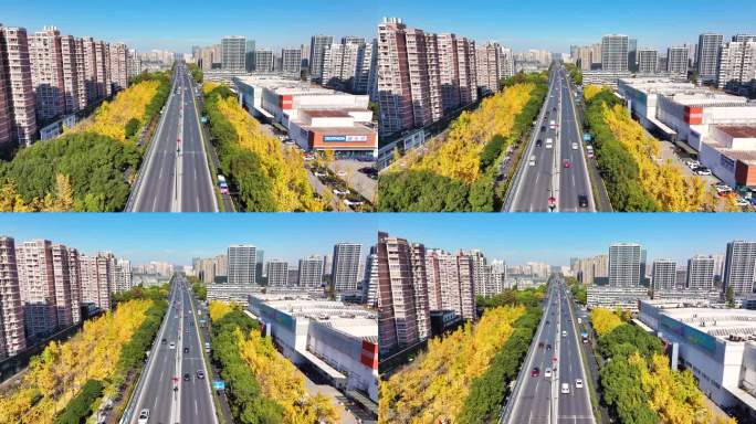 航拍杭州上塘高架银杏秋色与城市建筑风景