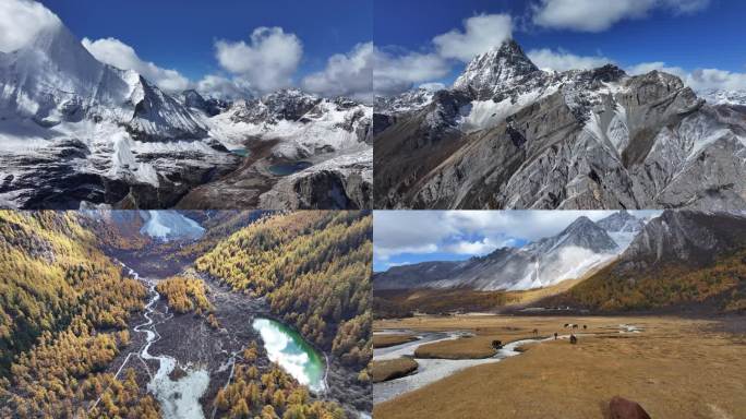 稻城亚丁雪山秋景合集