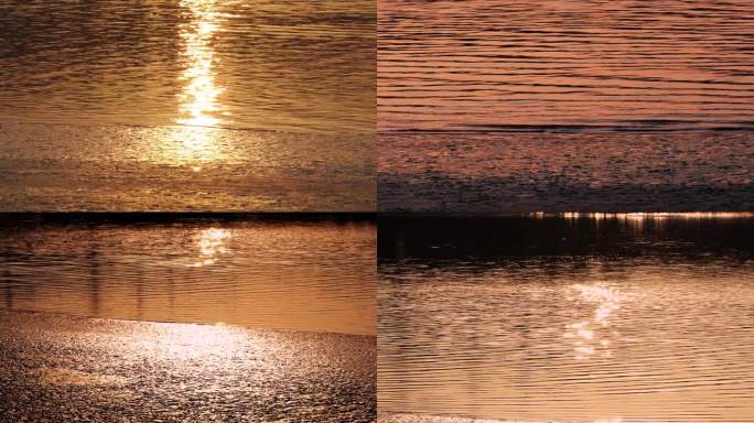 夕阳下金色滩涂 金色水面 4k