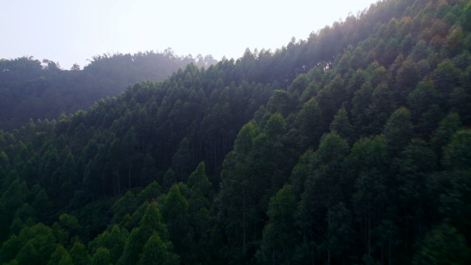 眉山市东坡区寨子山