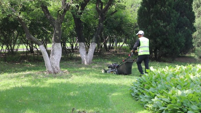 城市绿地除草修剪