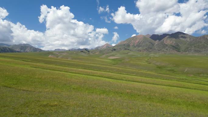 草原 赛里木湖 内蒙古 新疆