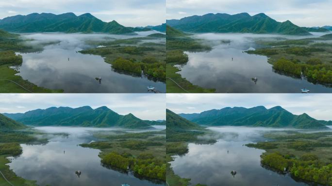 4K高清神农架大九湖湿地