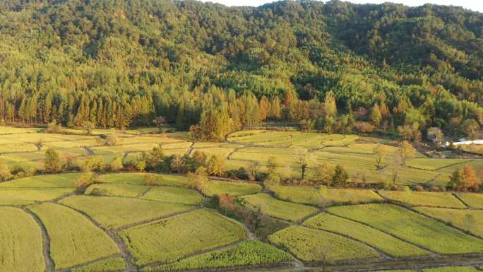 4K黄山黟县塔川徽州古建筑村镇云雾