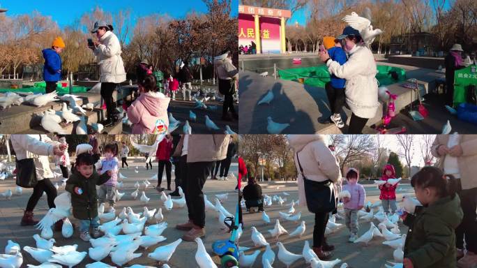 中山公园鸽子广场小朋友喂鸽子升格慢动作