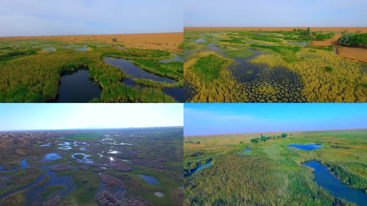 湿地草原——苏海图海子