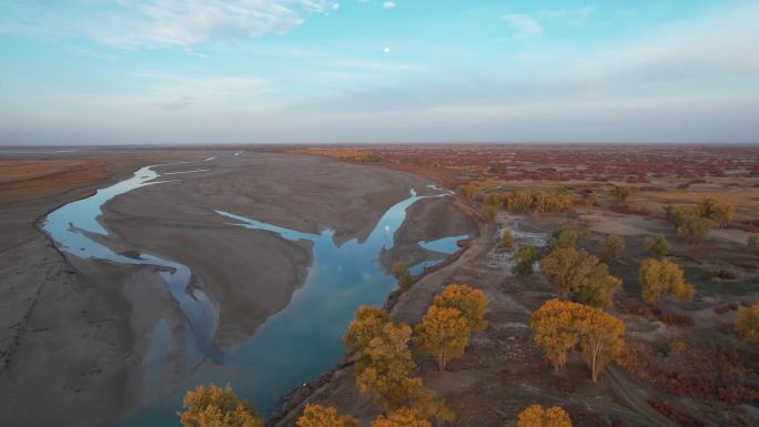 秋季新疆塔里木河的日出