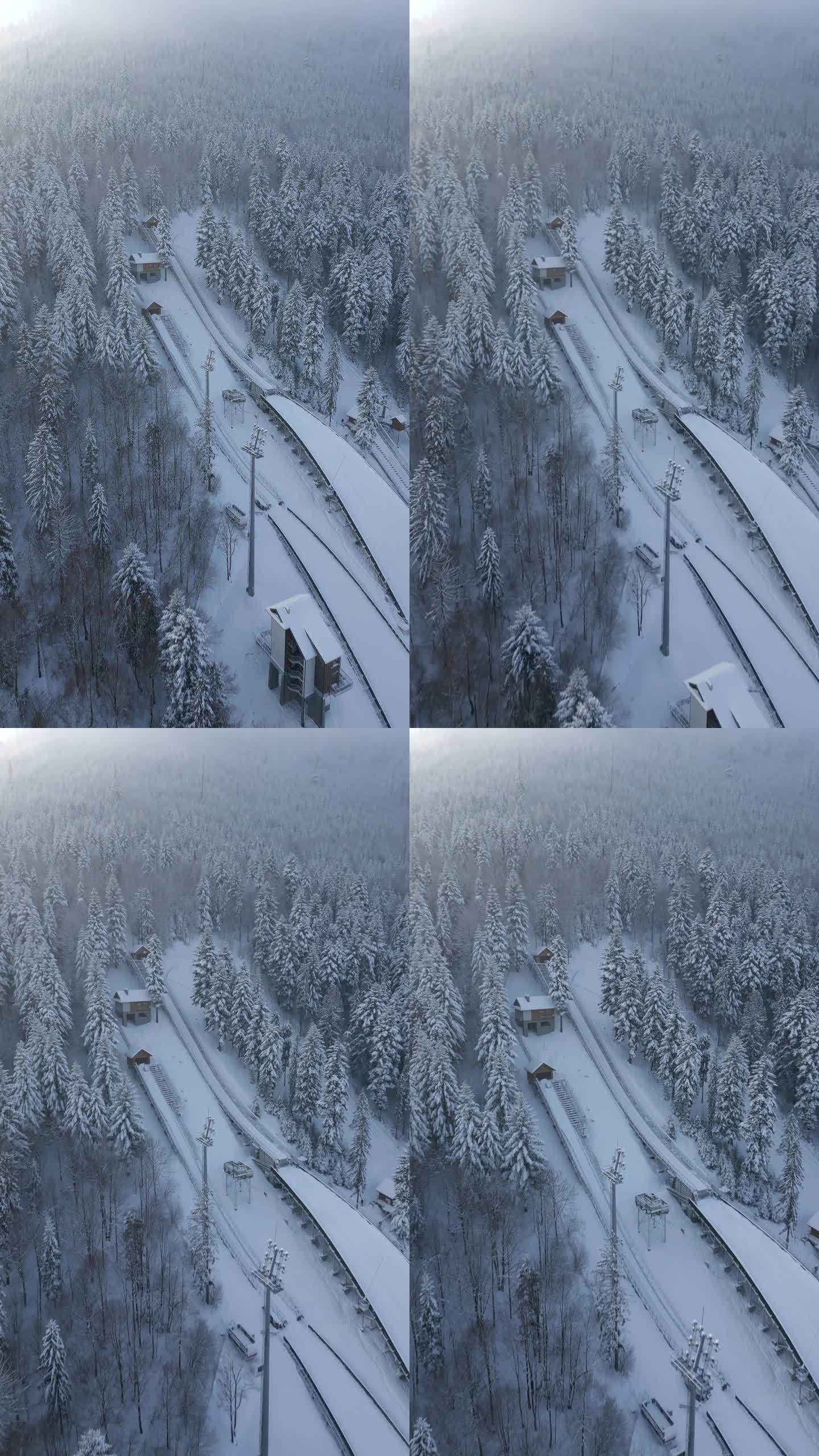 滑雪飞山在山上的冬季森林，空中，波兰