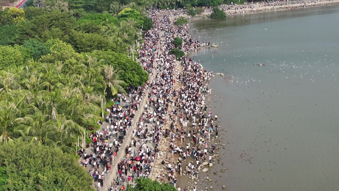 深圳湾公园观鸟人群深圳湾候鸟