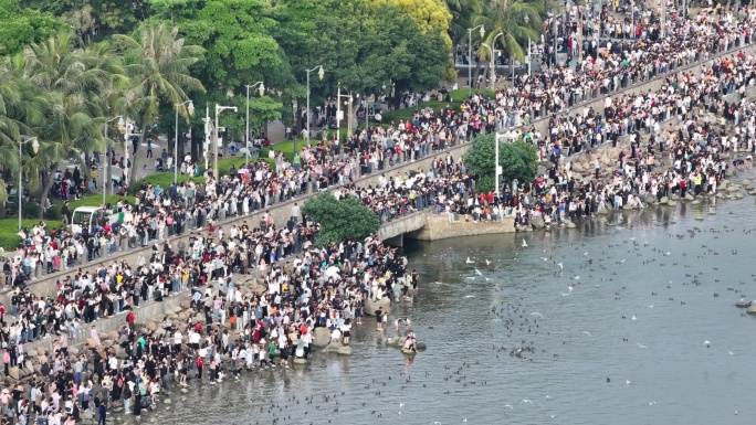 深圳湾公园观鸟人群深圳湾候鸟