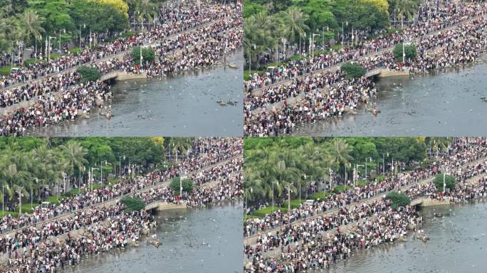 深圳湾公园观鸟人群深圳湾候鸟