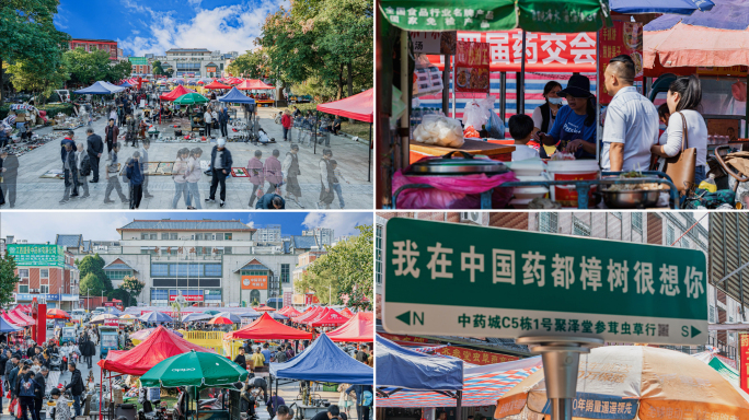 中国药都药交会