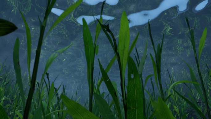 水底/海底水藻随水飘动小鱼游动三维动画