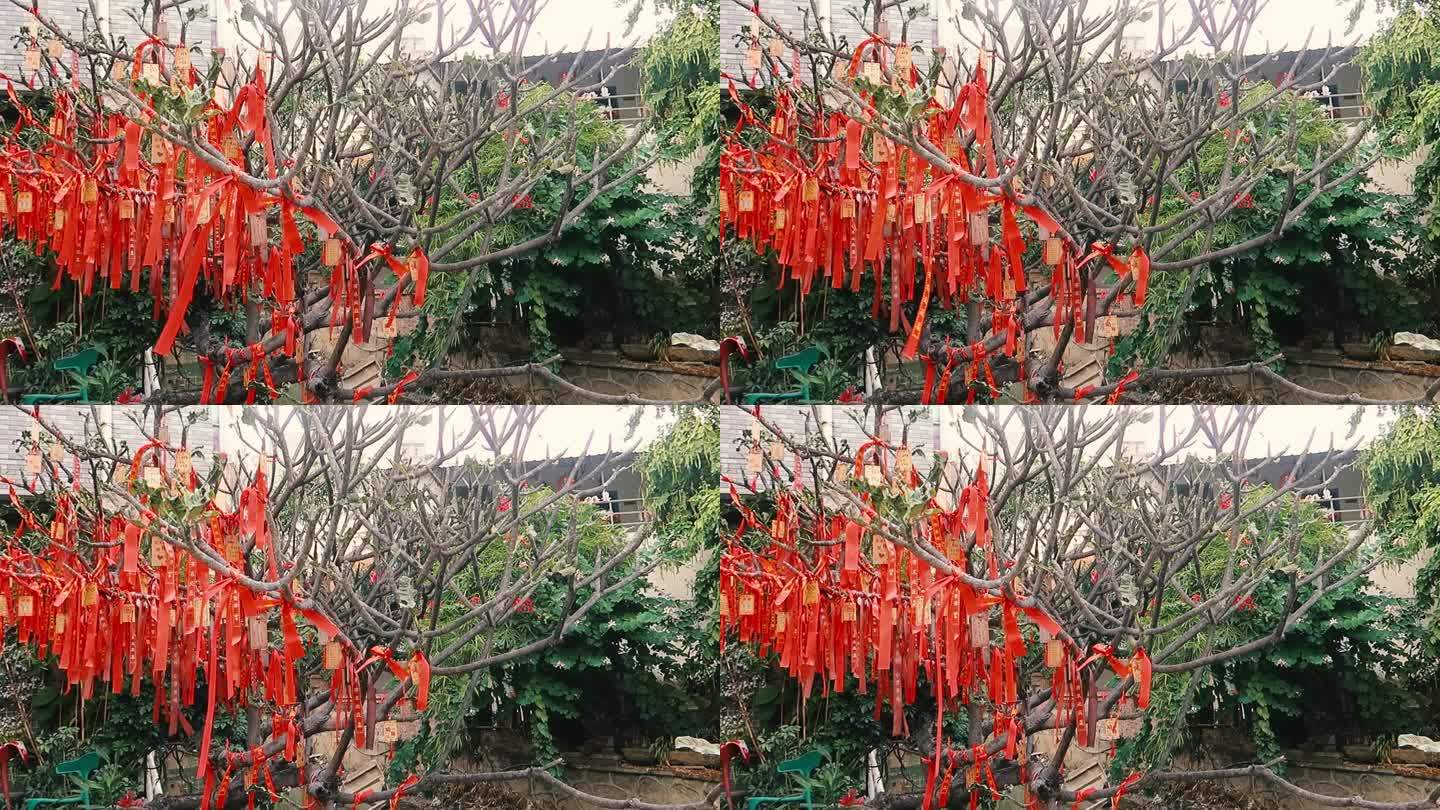 新年新春传统许愿树