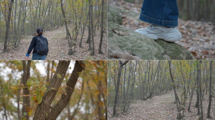 户外登山幽静树林