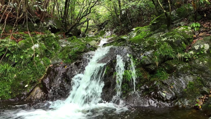 森林山涧小溪瀑布河流绿色苔藓