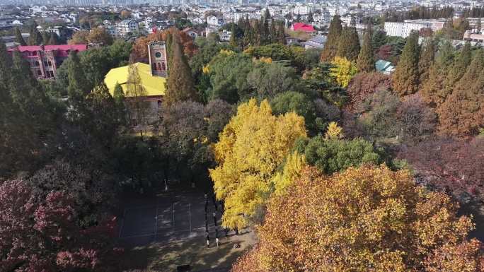 苏州大学秋天