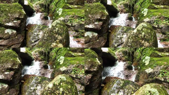 森林山涧小溪瀑布河流绿色苔藓