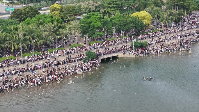 深圳湾公园观鸟人群深圳湾候鸟