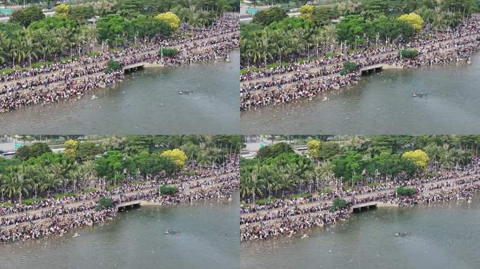 深圳湾公园观鸟人群深圳湾候鸟