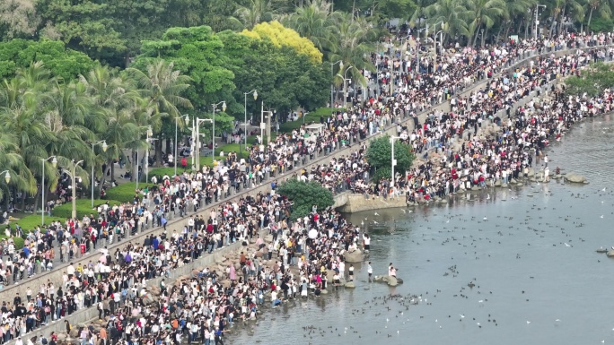 深圳湾公园观鸟人群深圳湾候鸟