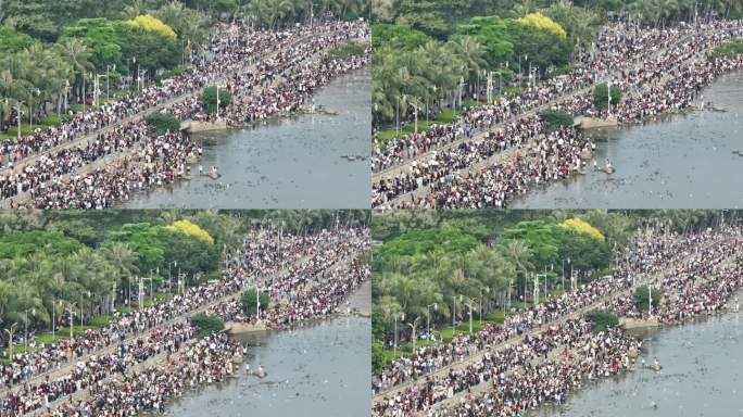 深圳湾公园观鸟人群深圳湾候鸟