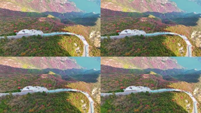 三峡红叶