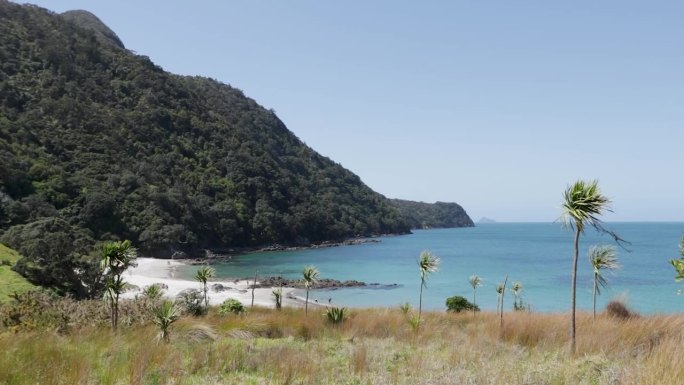 走私者湾，位于新西兰北部旺阿雷角附近的鲷鱼头风景保护区